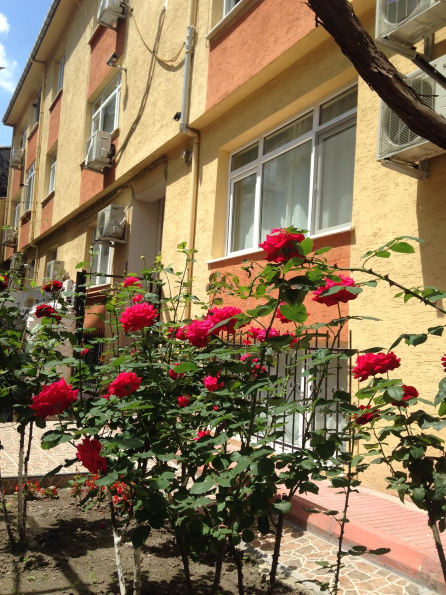 Sultanahmet Deluxe Yilmaz Apart Istambul Extérieur photo
